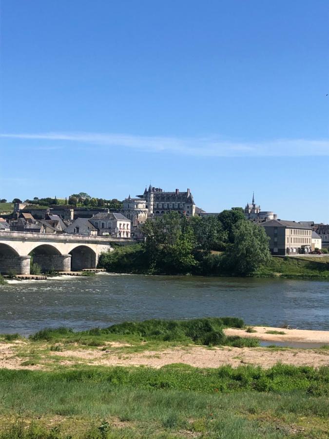 Le Petit Candy Amboise Bagian luar foto